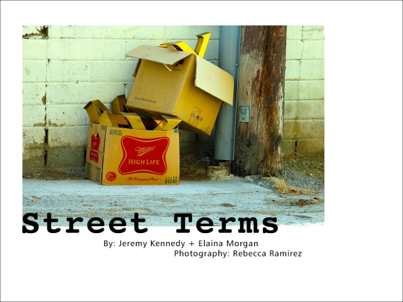 street terms 1 cov_sm.jpg